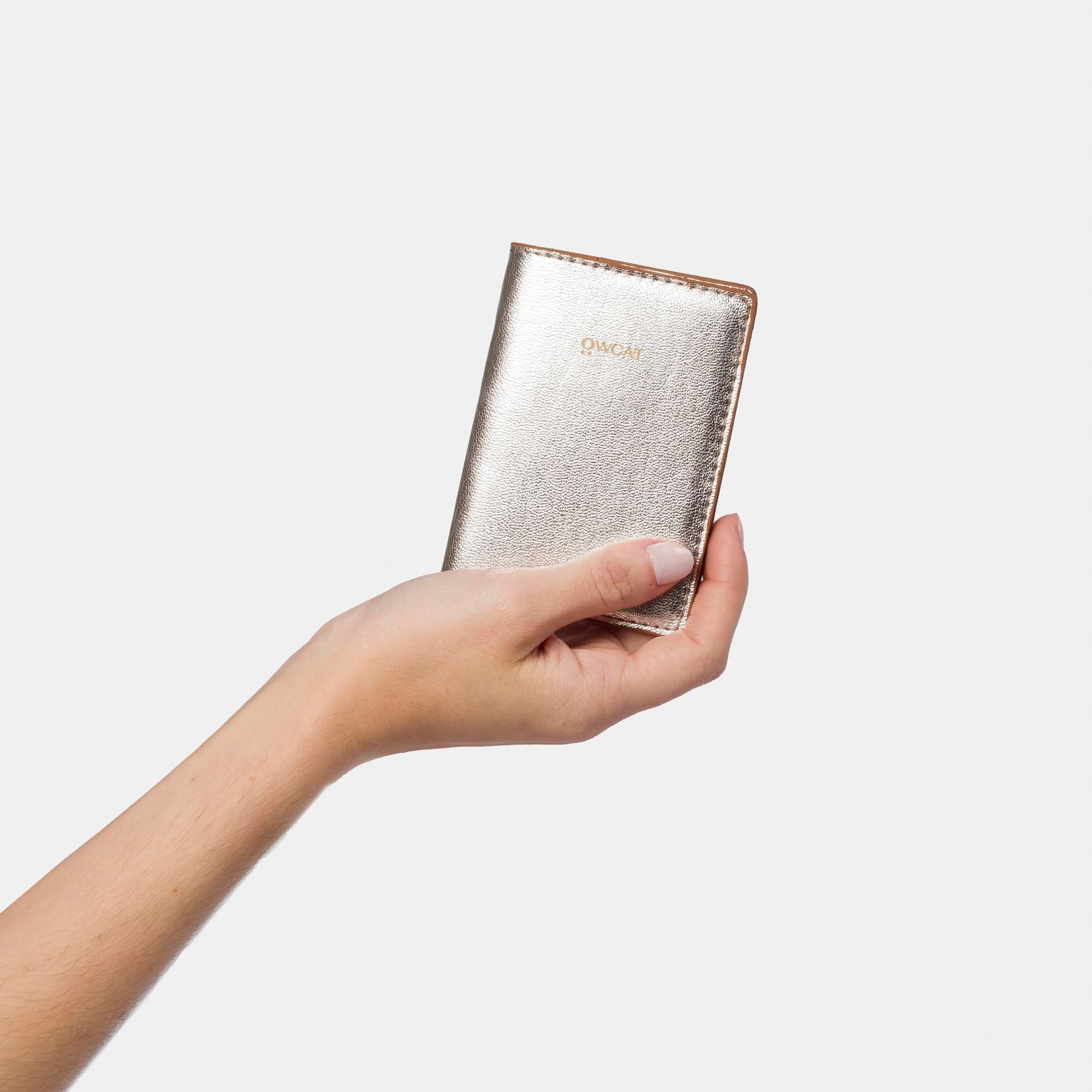 Carteira 'Microraptor' Silver